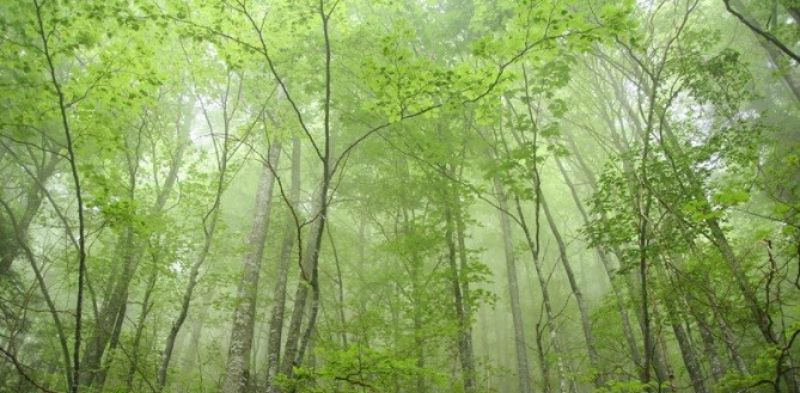 USUSRET DANU PLANETA ZEMLJE / prirodoslovno i putopisno predavanje koje će nas podsjetiti koliko je priroda posebna i nevjerojatna / petak / 21. travnja 2023. / 19 sati / Mala scena “Vinko Lisjak”